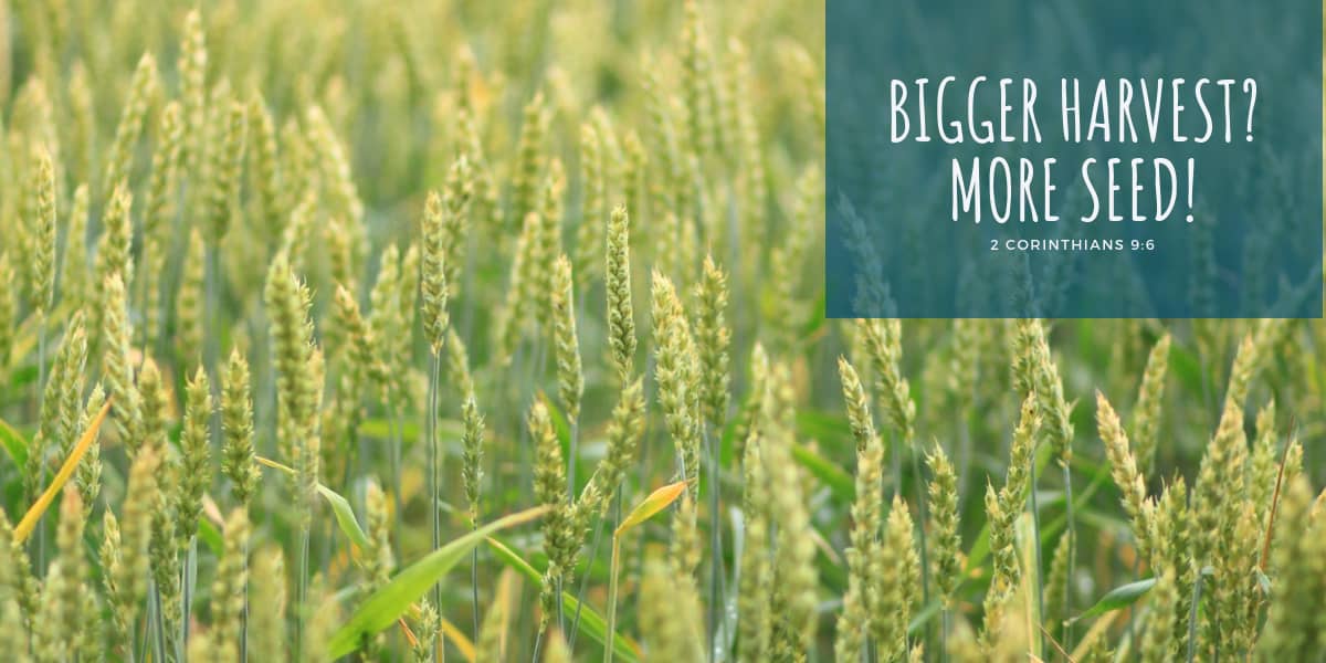 Bigger Harvest? More Seed!